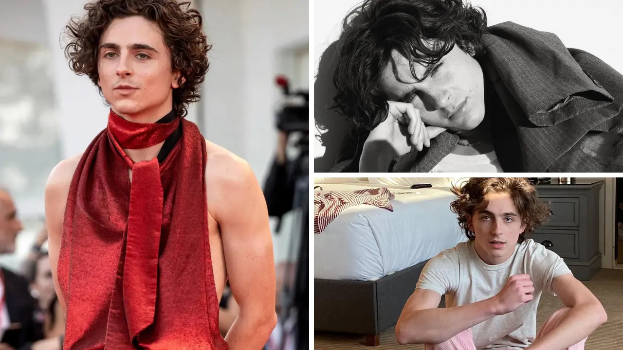 Timothée Chalamet The Rising Star of Hollywood