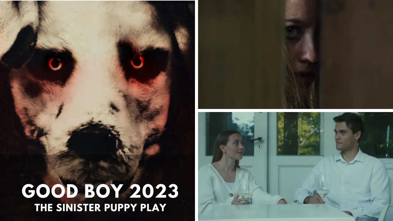 Good Boy 2023 The Sinister Puppy Play