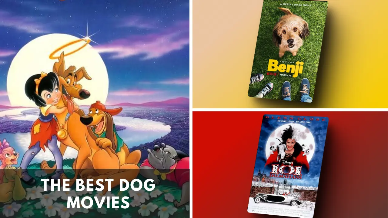 The Best Dog Movies
