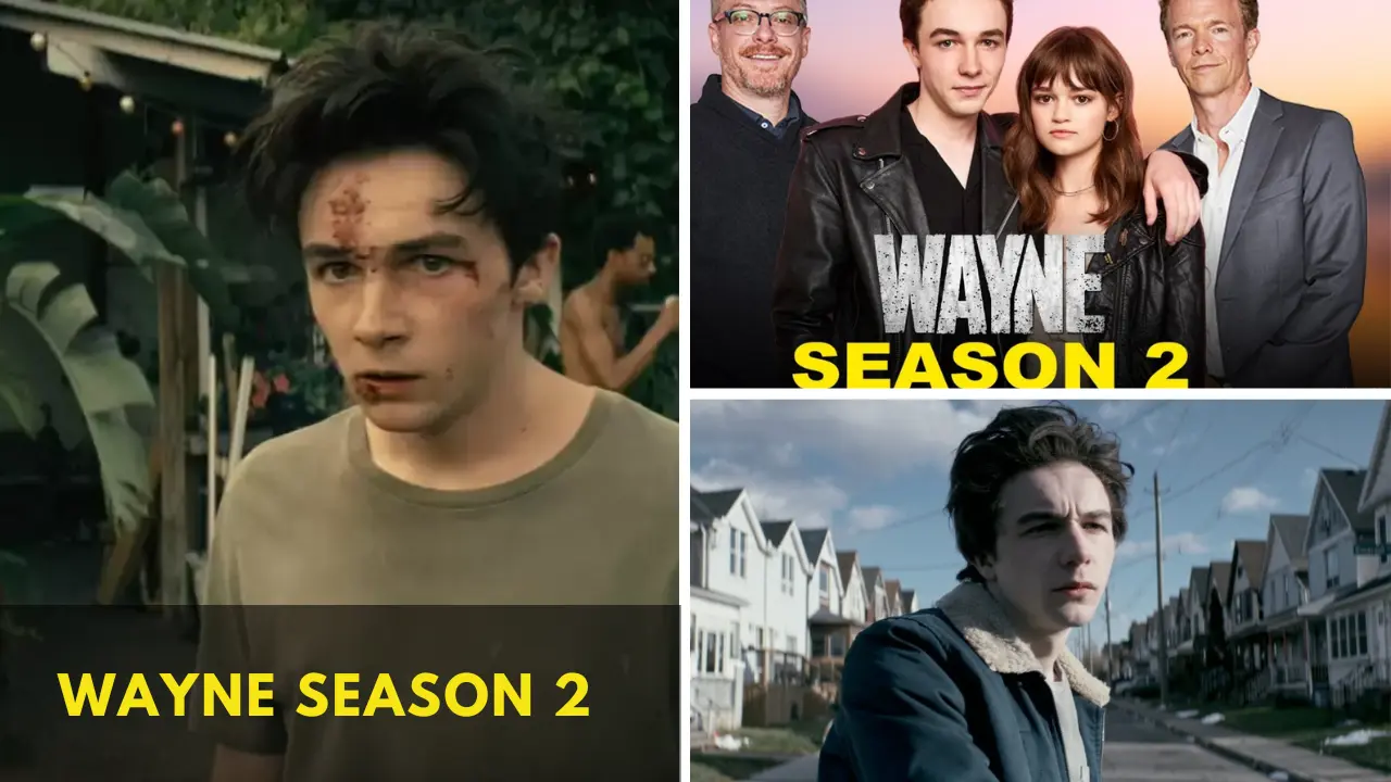 Will There Be a Wayne Season 2 What We Know So Far