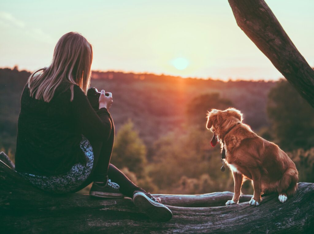 Getting a pet, especially a dog, can provide companionship and get you out of the house for walks. Caring for an animal can also boost your mood and sense of purpose